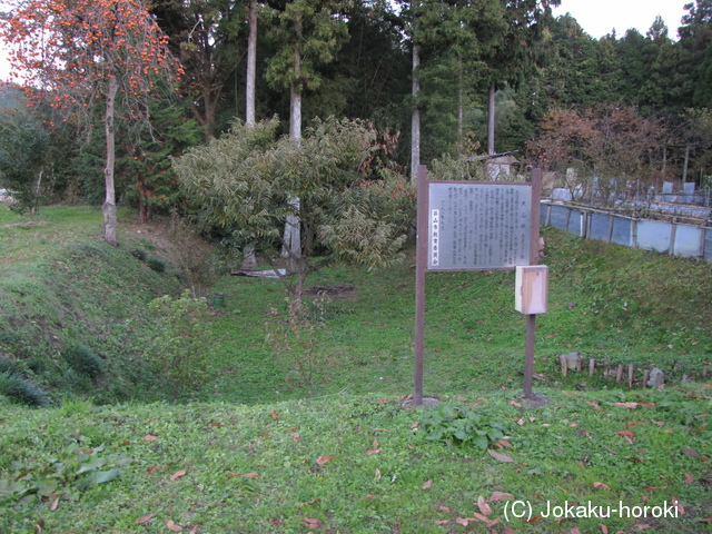 丹波 大山城の写真