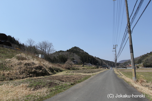 丹波 坂井城の写真