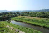 丹波 篠山城の写真