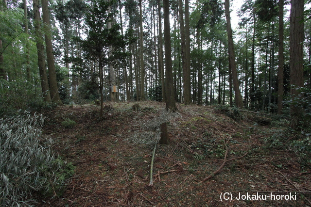 丹波 野間砦の写真