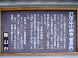 丹波 沢田城の写真