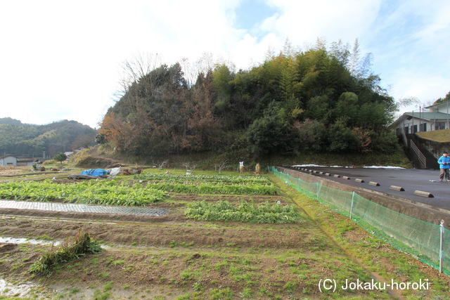 丹波 嶋間城の写真