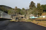 丹波 嶋間城の写真