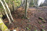 丹波 周山城の写真
