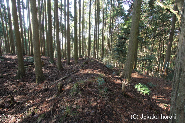 丹波 周山城(土の城)の写真