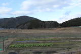 丹波 諏訪山城の写真