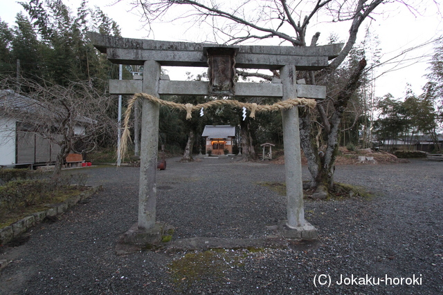 丹波 高野林城の写真