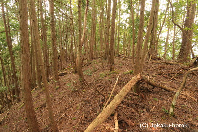 丹波 谷山城の写真