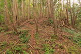 丹波 谷山城の写真