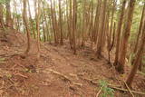 丹波 谷山城の写真