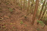 丹波 谷山城の写真