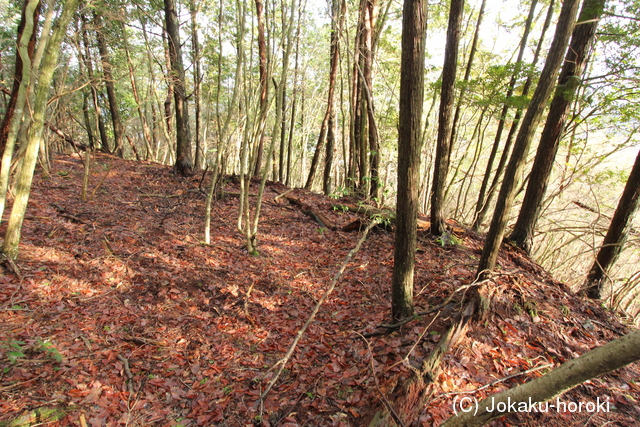 丹波 富田城の写真