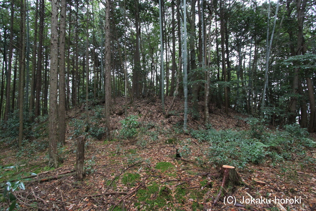 丹波 塚ノ山砦の写真