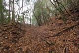 丹波 鶴首山城の写真