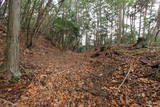 丹波 鶴首山城の写真