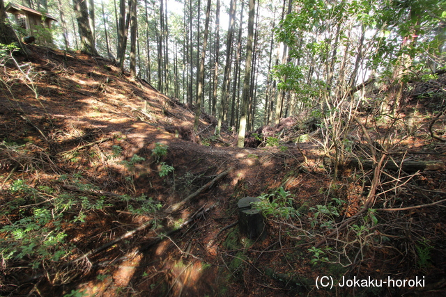 丹波 上野山城の写真