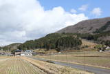 丹波 上野山城の写真