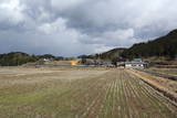 丹波 上野山城の写真
