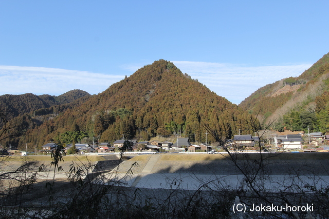 丹波 宇津城の写真