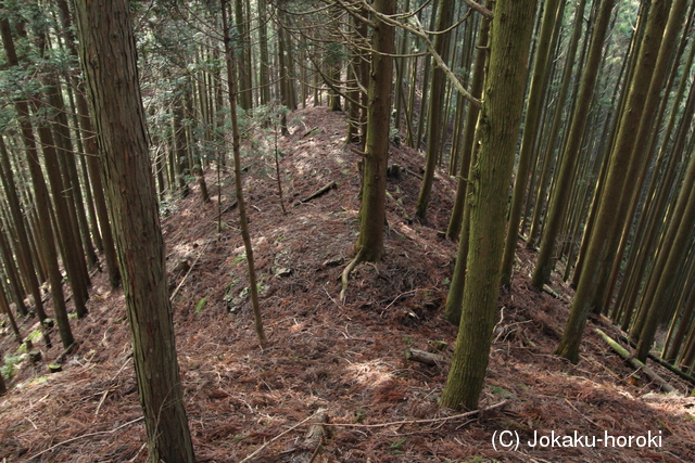 丹波 宇津嶽山城の写真