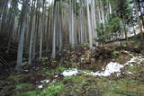丹波 宇津嶽山城の写真