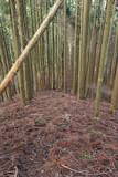 丹波 宇津嶽山城の写真