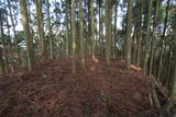 丹波 宇津嶽山城の写真
