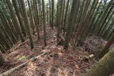 丹波 宇津嶽山城の写真