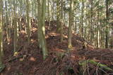 丹波 宇津嶽山城の写真
