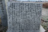 丹波 八木城の写真
