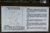 丹波 八木城の写真