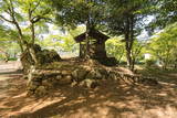 丹波 山家陣屋の写真