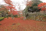 丹波 山家陣屋の写真