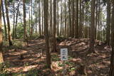 丹波 山家城の写真