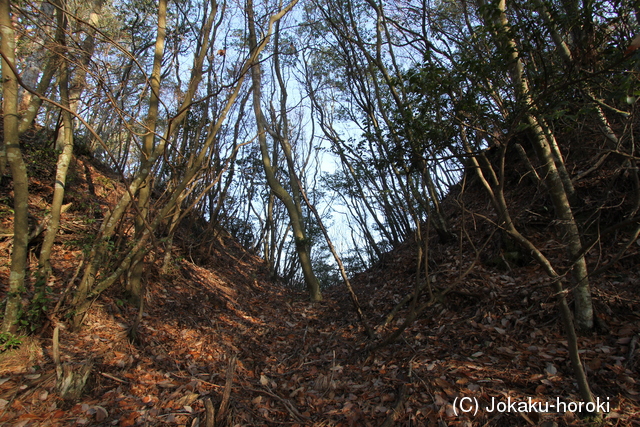 丹波 八百里城の写真