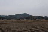 丹波 矢代城の写真
