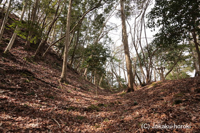 丹波 淀山城の写真