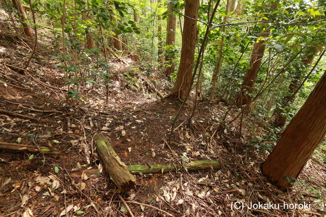 丹後 愛宕山北城の写真