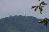 丹後 五郎岳城の写真