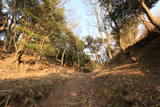 丹後 日村岳城の写真