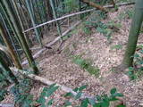 丹後 岩滝城の写真