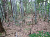丹後 岩滝城の写真