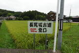 丹後 城ノ上城(長尾城下の城)の写真