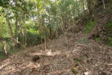 丹後 亀岩城の写真