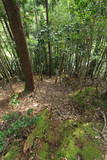 丹後 木津熊谷砦の写真