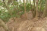 丹後 谷垣城(丹後町)の写真