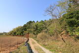 丹後 鳥取城(久美浜町)の写真