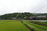 丹後 国久愛宕山城の写真
