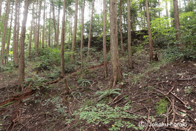 丹後 久住別城の写真