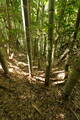 丹後 森本城の写真